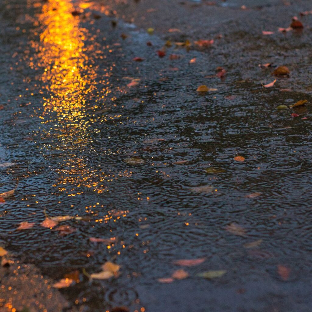 water pooling on the ground