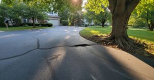 A suburban home driveway with a large tree nearby, asphalt showing early signs of root damage with cracks and slight lifting