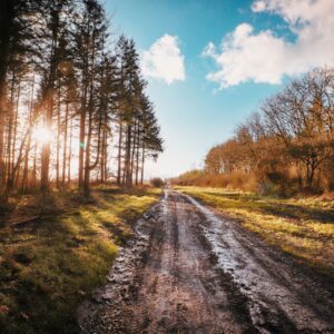 a muddy road that is uneven